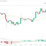 What is Shiba Inu Coin Burning and Why Does It Matter?